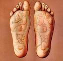 http://www.classiccomplementarytherapies.co.uk/phdi/p1.nsf/supppages/2543?opendocument&part=2